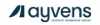 Ayvens autonoleggio - Santise Motors